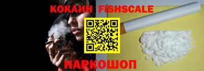 крисы Нальчик