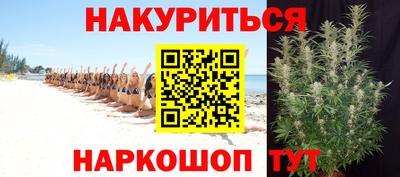 крисы Нальчик
