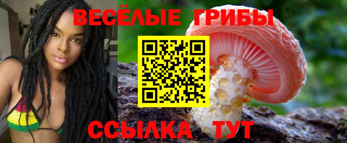 Семёнов  Псилоцибиновые грибы Psilocybine cubensis  Галлюциногенные грибы ЛСД  Вход с VPN 